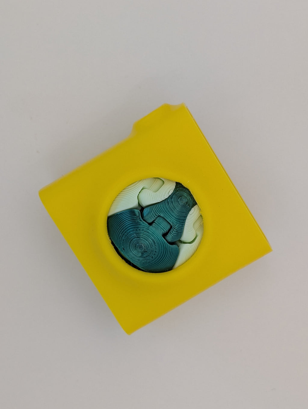 Zorble Fidget Ball & Case