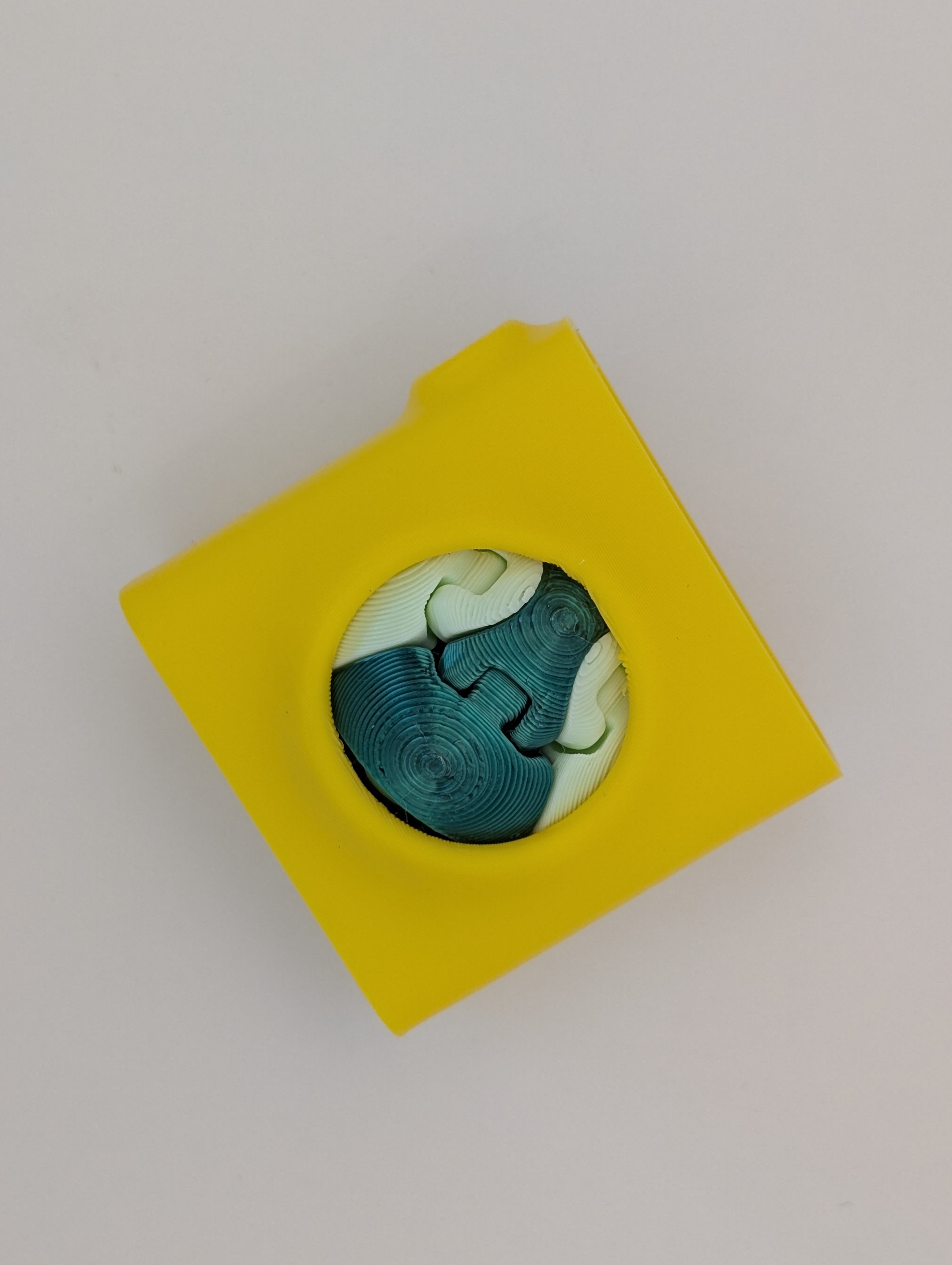 Zorble Fidget Ball & Case
