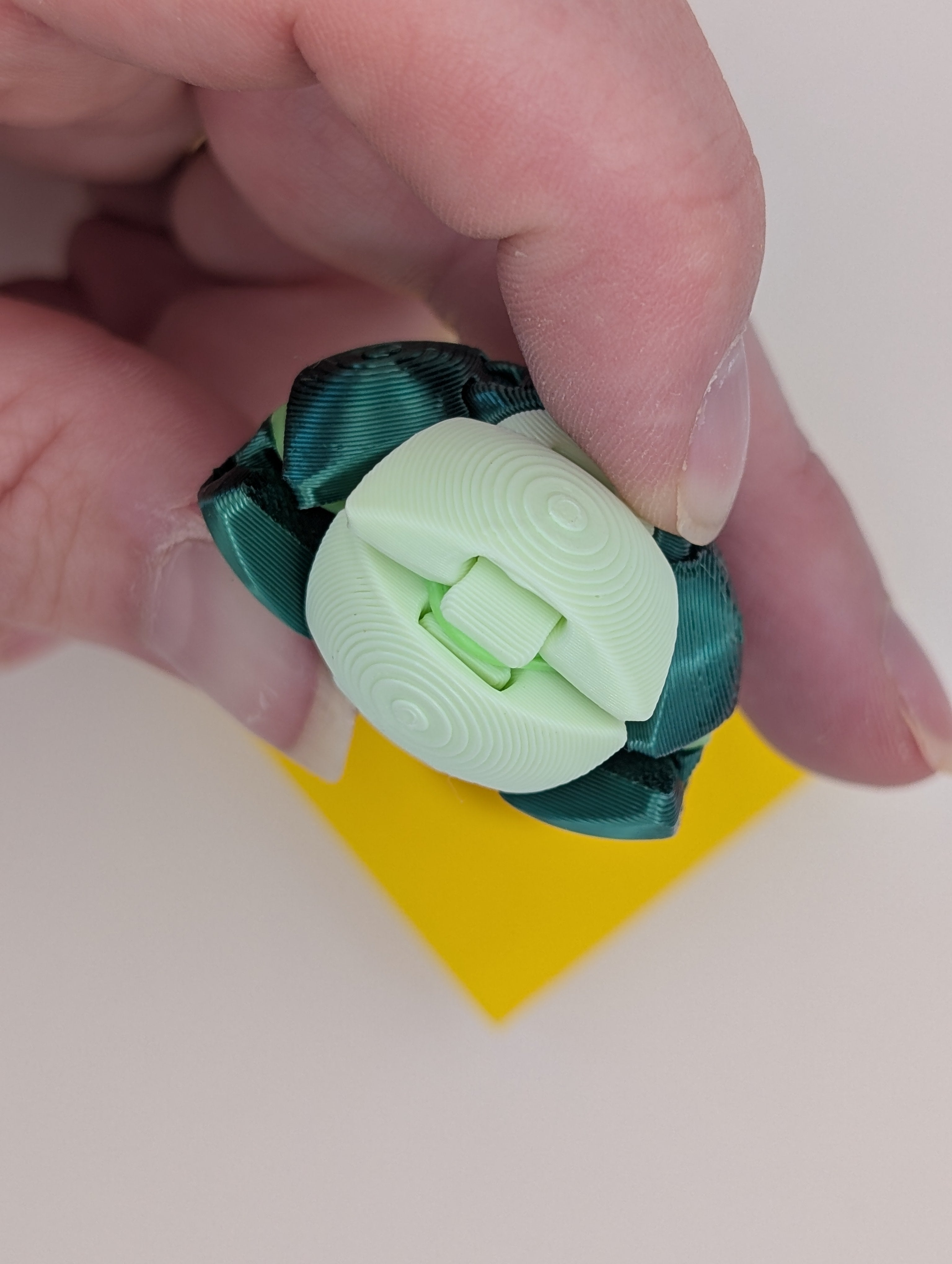 Zorble Fidget Ball & Case