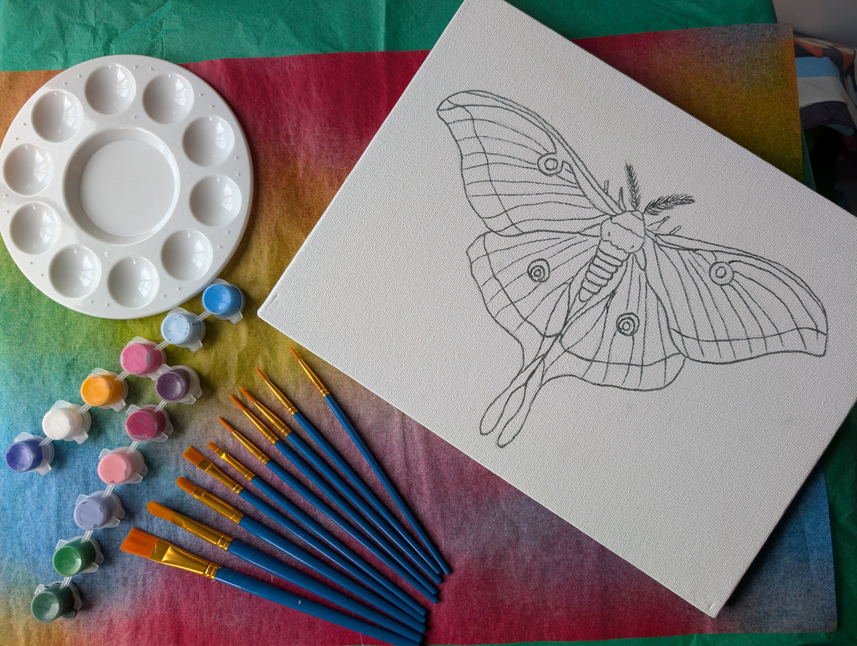 Luna Moth Paint Your Own Canvas Kit