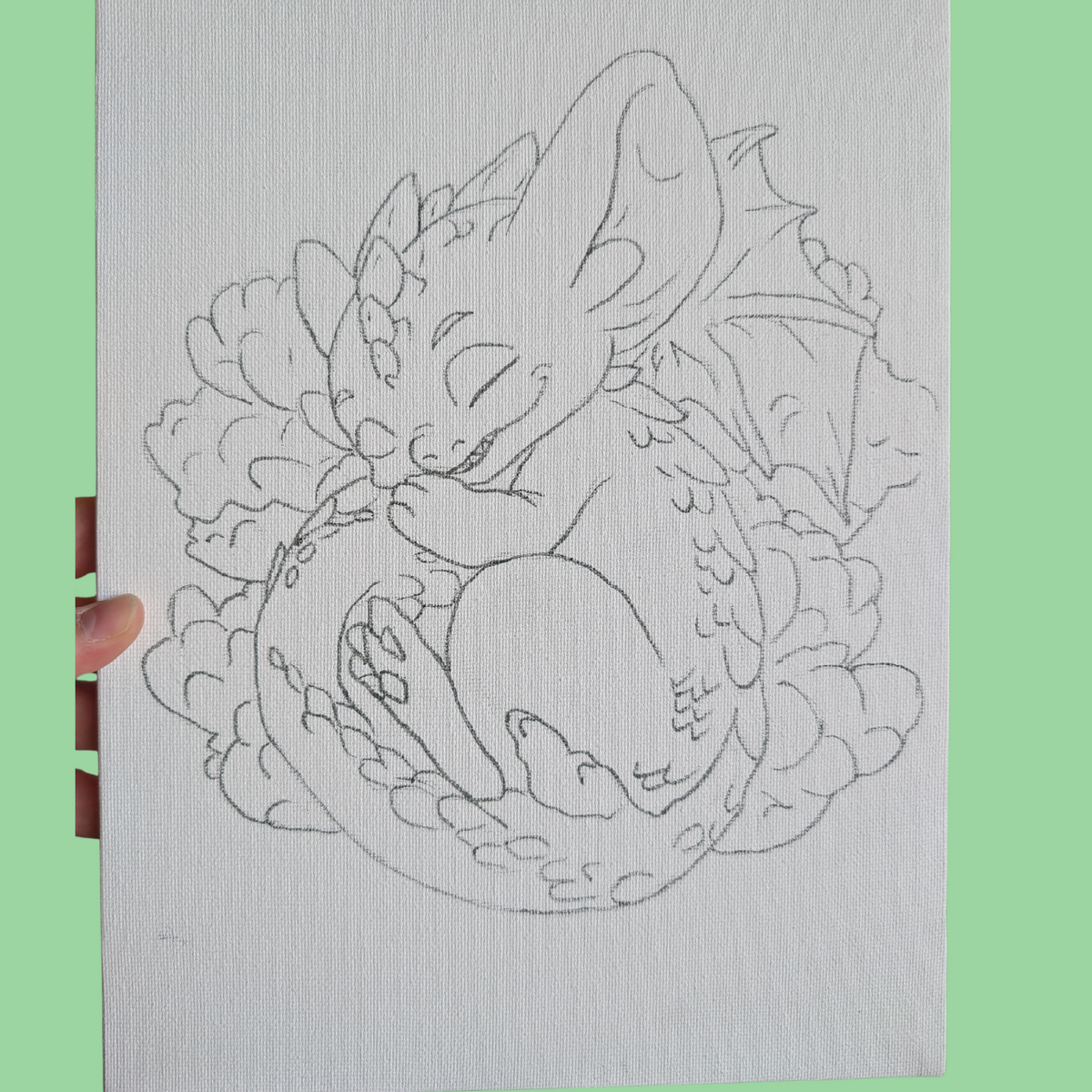 A hand holds a sheet of textured white paper featuring a fine-line pencil sketch of a sleeping dragon curled up in a flower-like shape, set against a solid light green background.